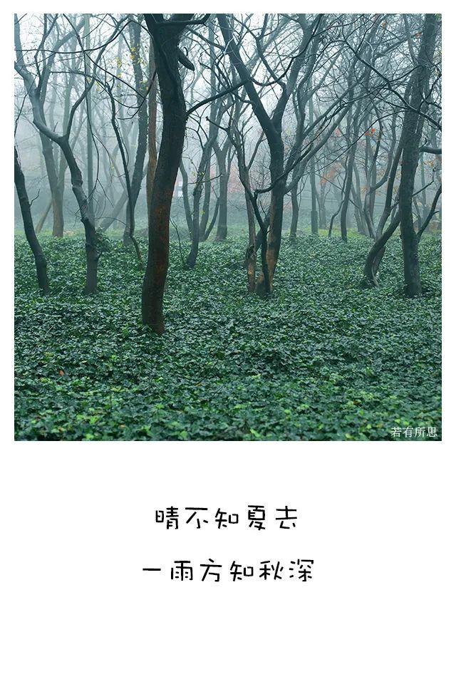 喜欢秋天的理由，我为什么喜欢秋天（秋天最像人生）