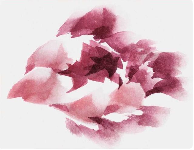 牡丹花简笔画简单又好看，简笔画画牡丹花（适合零基础绘画者学习）