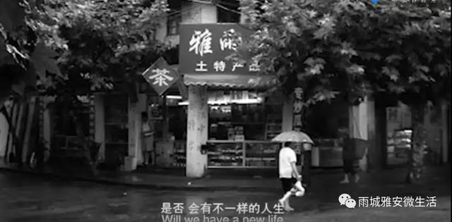 冷色系女头/快乐是个奢侈品，微信头像，冷色系女头/快乐是个奢侈品（雅安：一城梧桐伴流年）