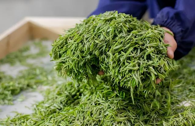 茶叶会发霉吗，普洱茶饼发霉了还能挽救吗（4个步骤教你判断茶叶是否变质）