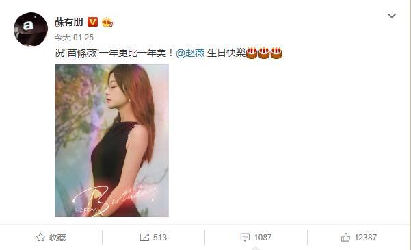 苏有朋对赵薇是真爱！连续8年为她庆生，曾说赵薇永远是心中女神