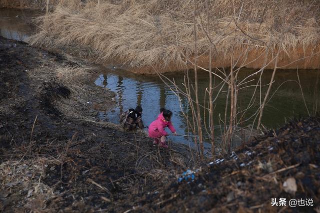 马虾怎么养，大马虾的养殖技术（你小时候也这么不怕冷吗）