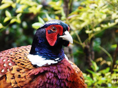 临沂新概念学校很黑（虚假大学误人终身）