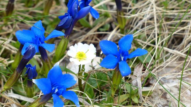 双子座内心好恐怖，双子座狠起来很可怕（当双子座冷下来，会很恐怖）