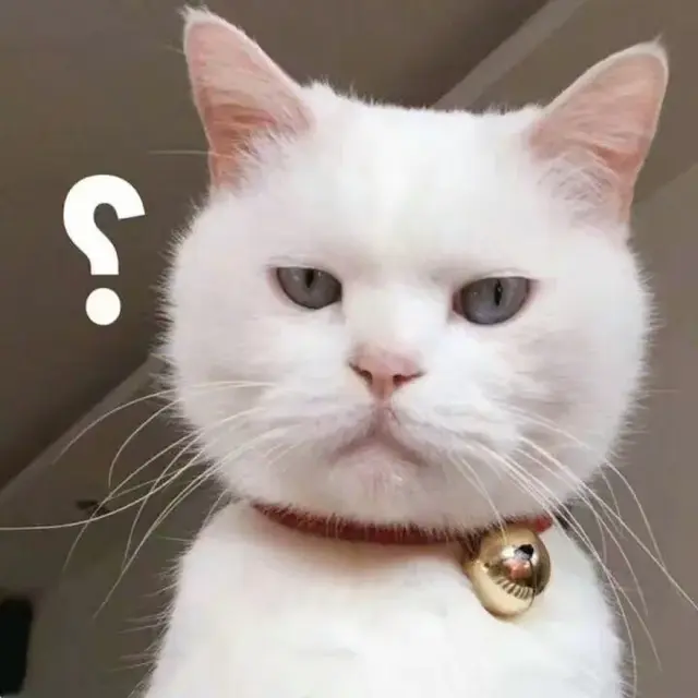 猫吃了韭菜怎么补救，猫不小心吃了韭菜会怎么样（这20种食物对猫有害）