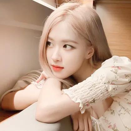 /江樱/ 澳洲野玫瑰朴彩英头像1弹微信，/江樱/ 澳洲野玫瑰朴彩英头像1弹（Rose头像壁纸澳洲野玫瑰）