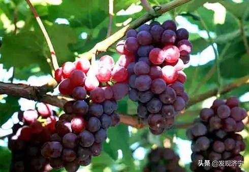 0537是哪里的区号，0536是哪里的区号（用一篇文章读懂你——济宁！）