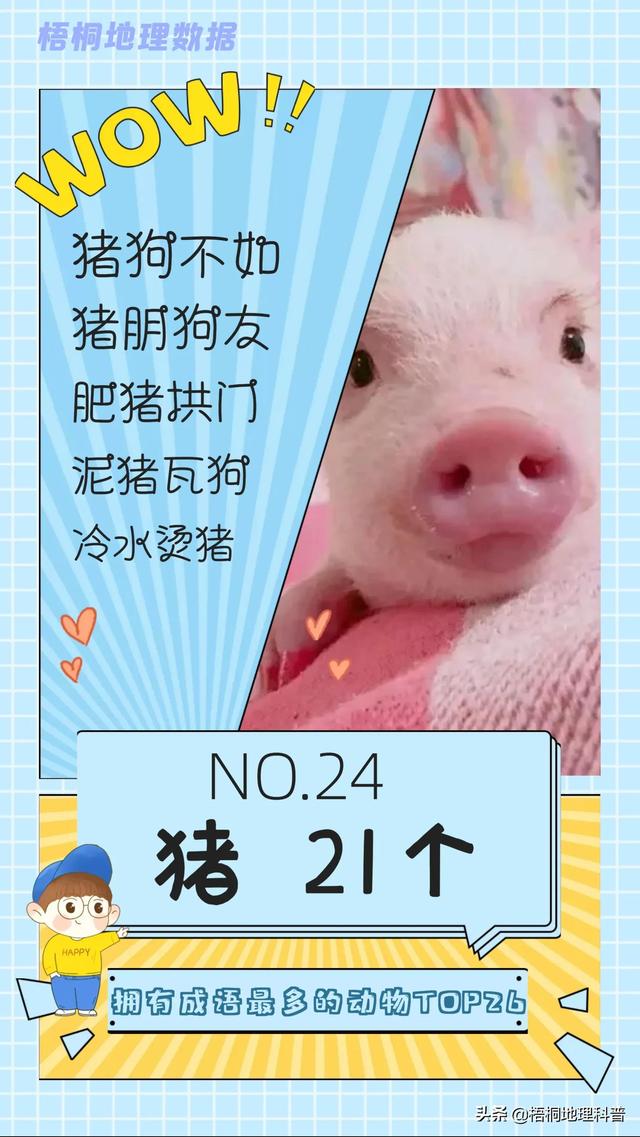 关于猫的词语有多少个，关于猫的词语有多少个词语（盘点哪种动物拥有的成语最多）