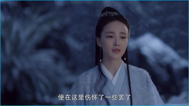 枕上书凤九和息泽圆房了吗，凤九为什么和息泽圆房（《三生三世枕上书》）