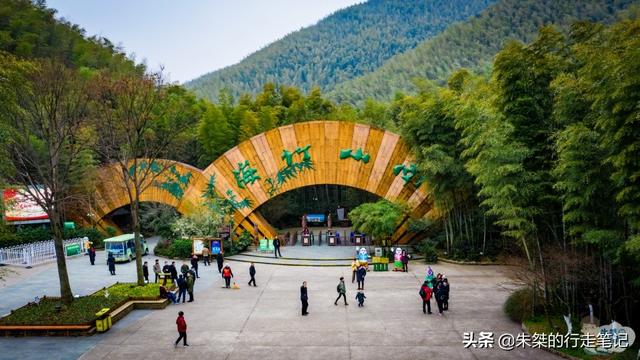 宜兴竹海和南山竹海哪个好玩，宜兴竹海好还是南山竹海好（国内竹海景区中唯一的5A）