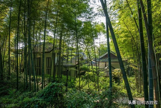 形容夏天热的诗句，形容夏天热的经典诗句（夏夜古诗七首：热极不可度）