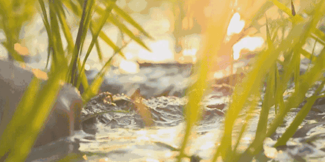 干饭是什么意思，网络词干饭是什么意思（中国干饭地图：天南海北）