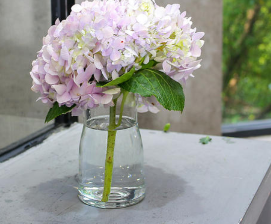 小苏打的作用与功效，小苏打的作用与功效兽药（都说小苏打是万能的）