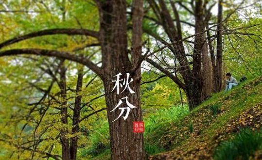 关于秋分谚语，可预测今冬雨水的多少