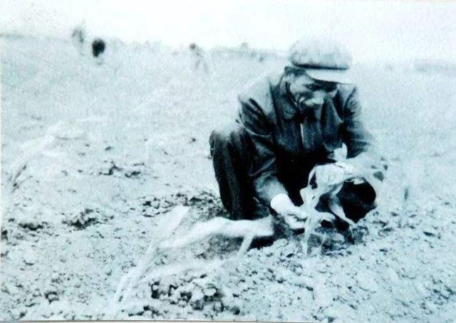 1立方土等于多少吨，1立方土等于多少吨的换算（2500年大墓）