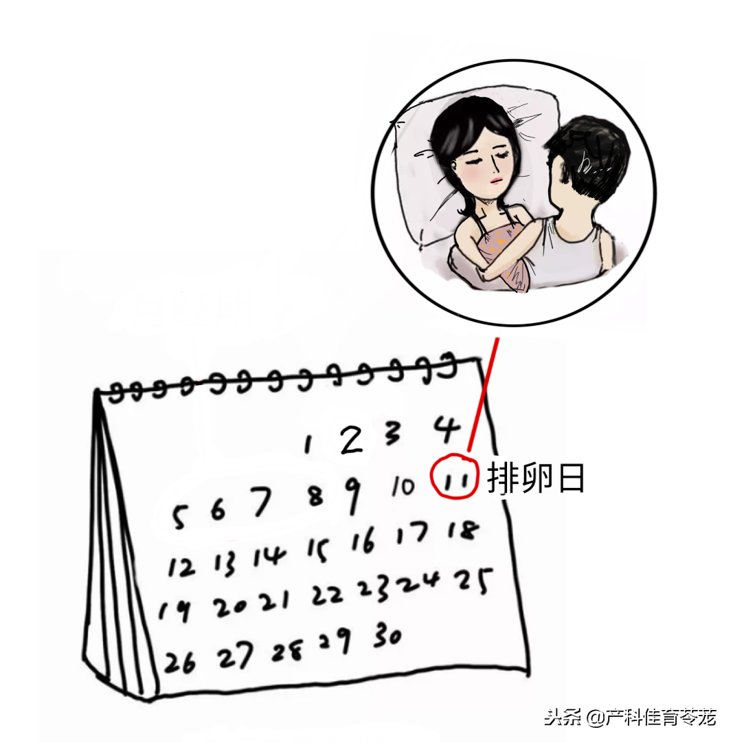 根据月经推算排卵日