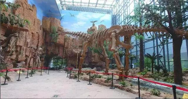 南京有哪些博物馆，南京可以参观的博物馆（南京11家博物馆特色、门票、地点、交通全有）