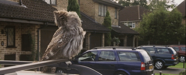 哈利波特一共有几部，哈利波特小说有几部（《哈利波特》泪点来了）