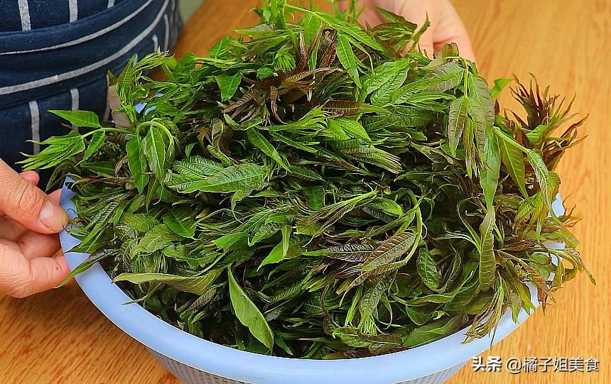 自從學會香椿這樣存放 每年都會存10斤 簡單實用 放一年也不壞-起舞食譜網