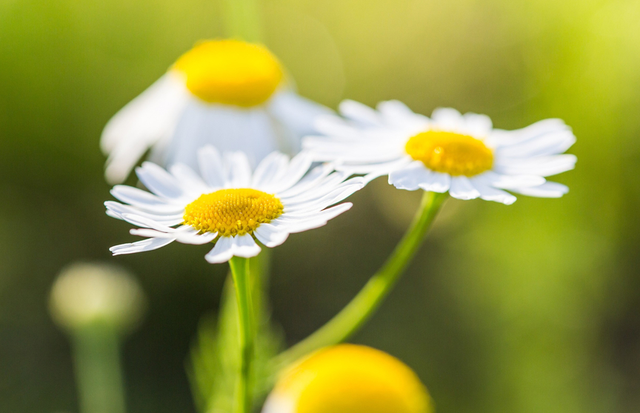 射手男对待备胎的态度，判断你在射手男心里的位置（十二星座抱有什么样的态度）