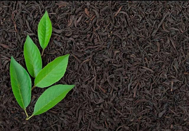 正宗港式奶茶做法比例是什么，正宗港式奶茶做法比例窍门（里面没有奶。教你在家做正宗港式奶茶）
