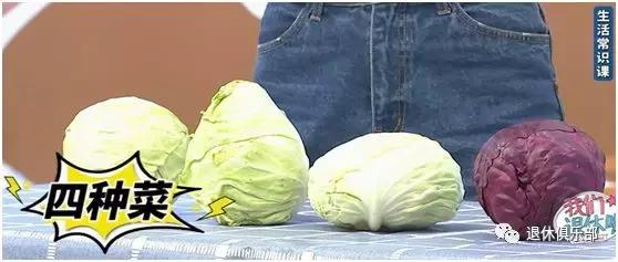 高丽菜是什么，高丽菜是什么季节（这些蔬菜界的“双胞胎”你分得清吗）