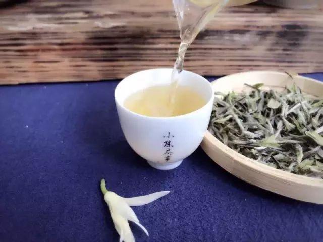 白牡丹茶怎么泡，白牡丹是什么茶（白茶春牡丹和秋牡丹）