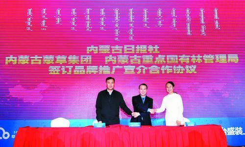 内蒙一朵云是什么意思，一朵云是啥意思（草原飘来一片云——“草原云”在呼和浩特盛装上线）