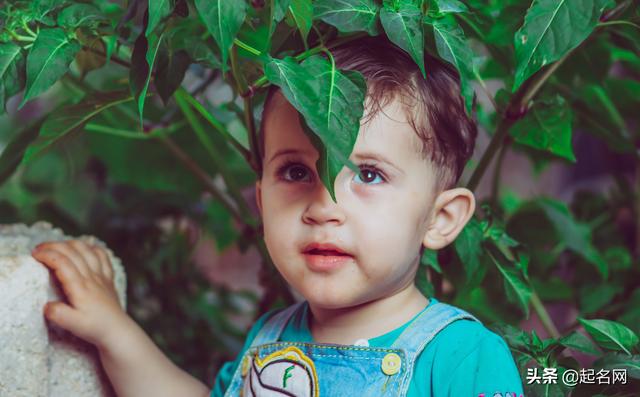 男孩取名屹字好不好，男孩子名字屹字的寓意（才华与颜值并存的男孩名）