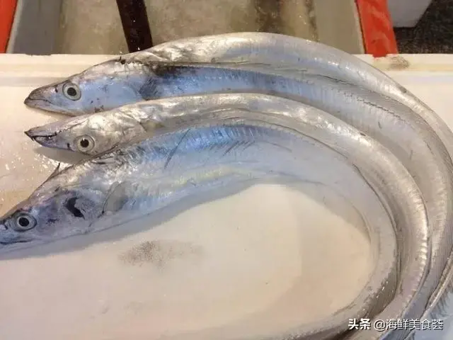 多春鱼是河鱼还是海鱼，多春鱼产地在中国哪里（暂时市面上几乎没有养殖的）