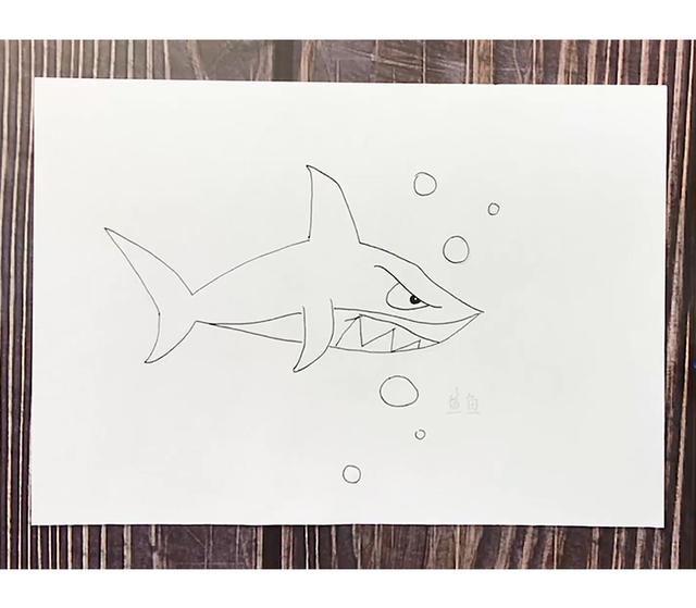 卡通鲨鱼怎么画，鲨鱼和蓝鲸的简单卡通画法（凶狠的鲨鱼图文教程）
