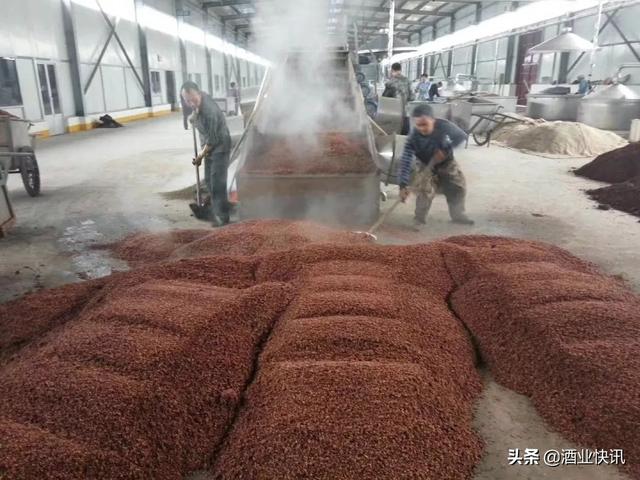 烧酒的度数一般是多少，白酒知识酒的度数