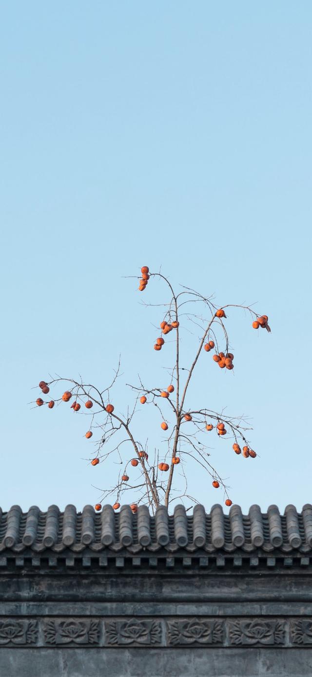 扎心背景图片。，微信扎心背景图（凌晨的故事最扎心）