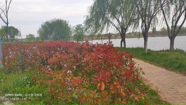 磁县旅游景点大全，磁县网红景点（磁县周边景点）