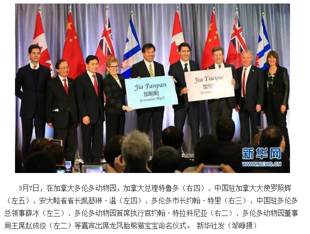 海狸是哪个国家的国宝，海狸是哪个国家的国宝的寿命（在加拿大寻找身价过亿美元的动物）