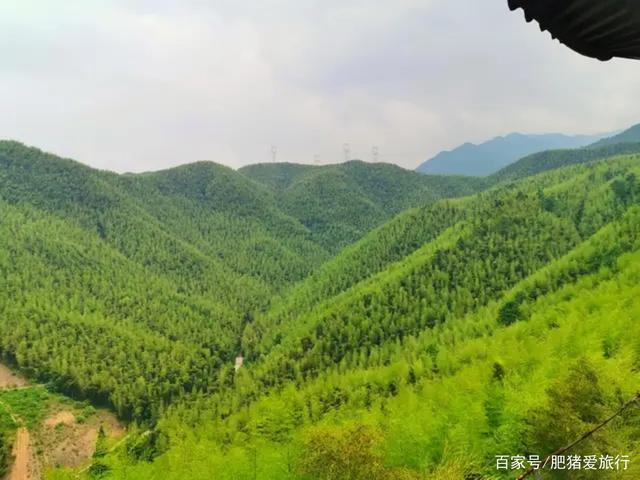 中国有几个竹海哪个更出名，中国哪个竹海最美（如今是不是还值得一去呢）