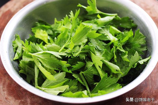 用芹菜叶做咸菜的简单方法，芹菜叶能做咸菜吗（我家此菜叶子从不扔）