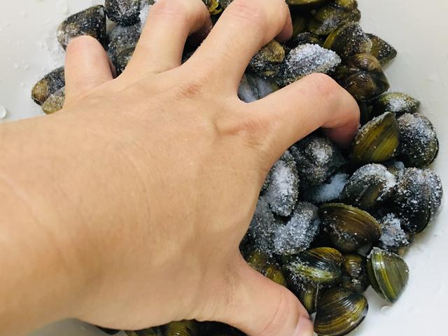 黄沙蚬煮汤的好处，黄沙蚬可以煮汤吗（它被誉为“西江鲍鱼”）