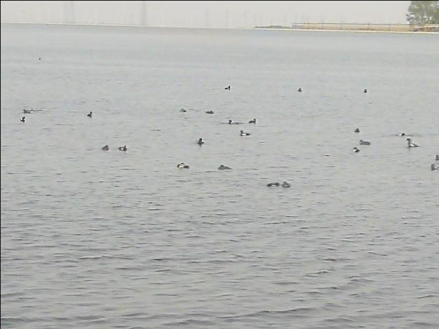 格尔木市海拔多少米，格尔木海拔高度是多少米（格尔木翻天覆地的变化）