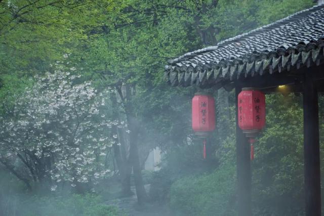 雨诗歌句子，写雨诗词名句（最适合发朋友圈的30句诗词）