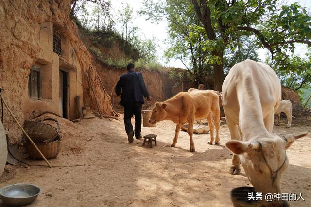 村民选举法全文最新2021，农村村委会选举法（村干部有学历要求吗）
