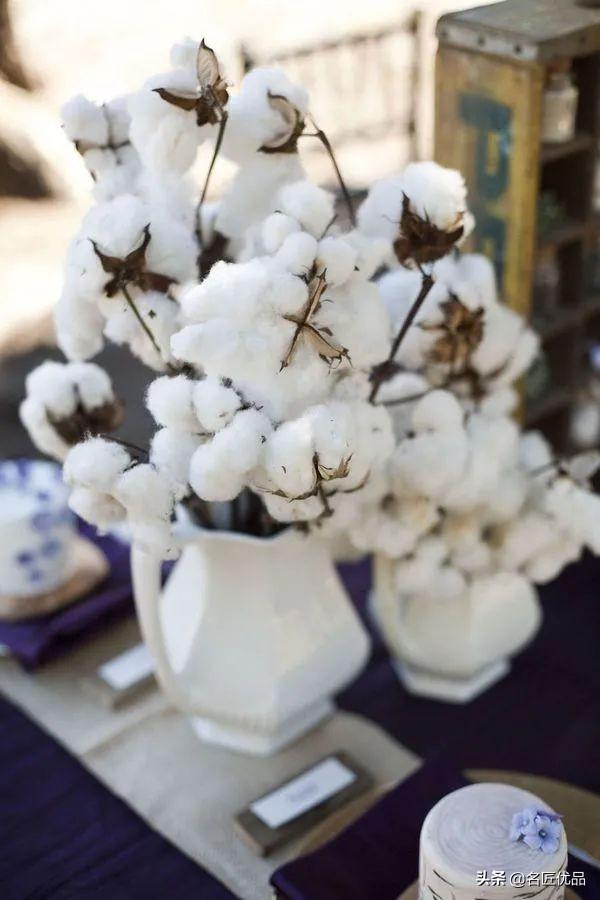 棉花花语和寓意是什么，棉花花语（花店老板娘手中的棉花）