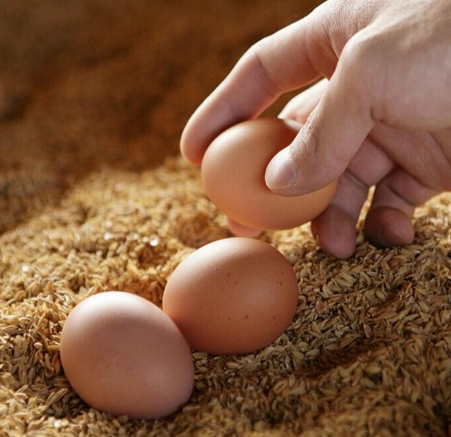 鸡蛋是酸性还是碱性，益母草煲鸡蛋是碱性还是酸性（这些常识人人都该知道）