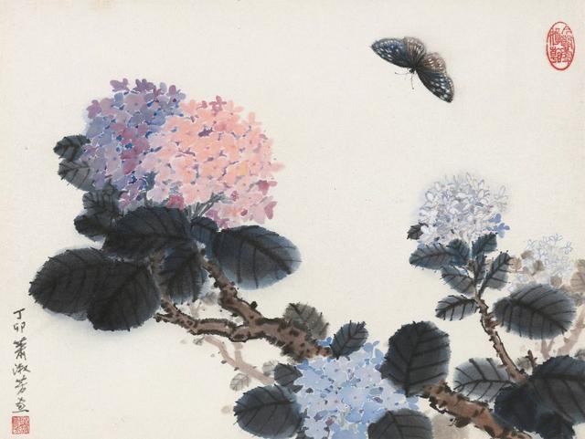 绣球怎么画，绣球怎么画的图片大全（这么难画的绣球花）