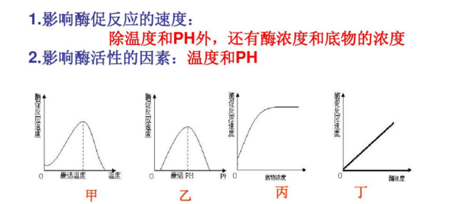 西红柿炒黄瓜可以一起吃吗，黄瓜能和西红柿一起吃吗（黄瓜和西红柿不能一起吃是真的吗）