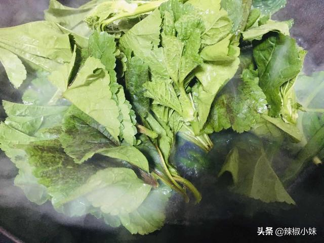 冬寒菜怎么做好吃，冬寒菜的禁忌（冬苋菜的家常做法）