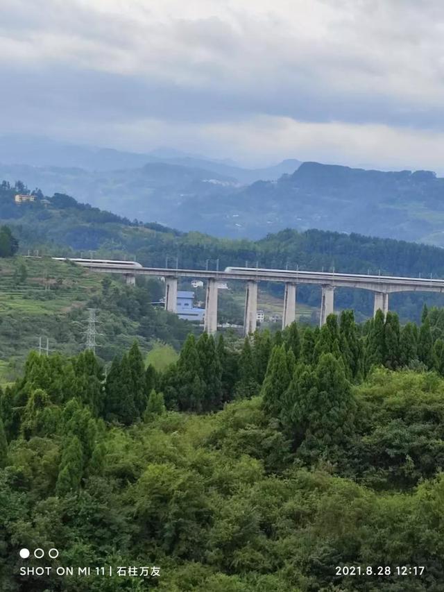 附庸风雅的意思，附庸风雅的意思是什么（附庸风雅）