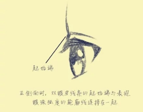 快来学习定制专属睫毛画法，怎么画睫毛（眼睫毛与双眼皮的画法技巧）