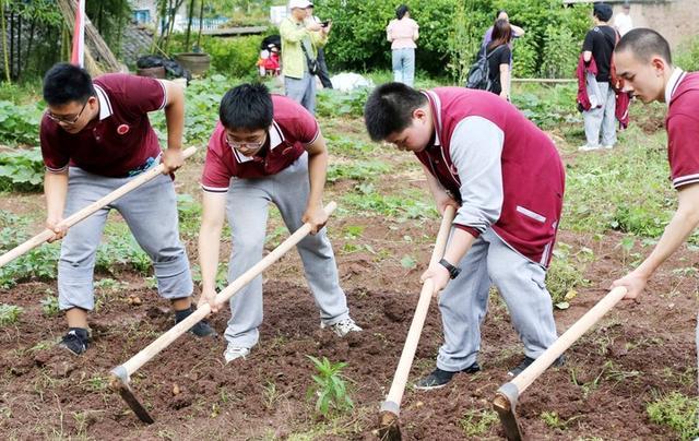 我的学校结尾（带你回忆不一般的校园生活）