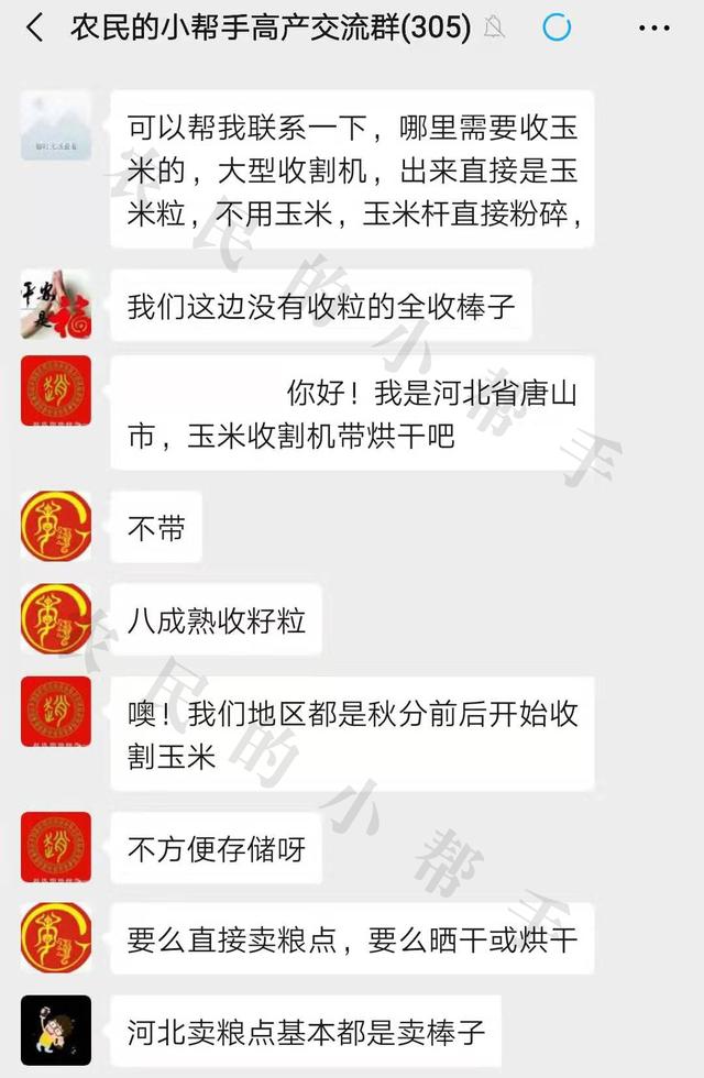 玉米什么时候成熟，玉米多少天会成熟（再过20-30天之后成熟）